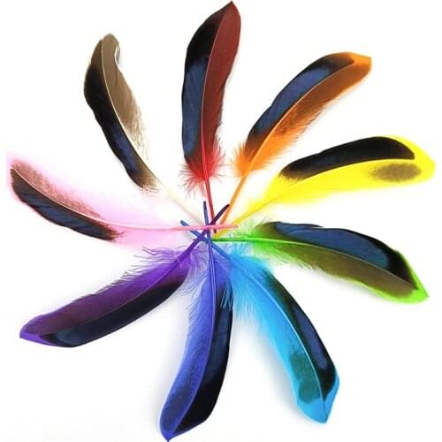 Wholesale Natural Pheasant Feathers 10-15cm Duck Pluma Jewelry Handicrafts Accessories Holiday Decorations DIY Feather Headdress