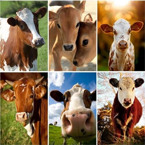 DIY Cow 5D Diamond Painting Full Square Drill Animal Farm Daimond Embroidery Rhinestone Cross Stitch Home Decor Wall Art Gift