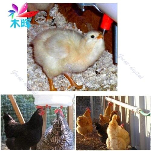 New Drinker Feeder Chicken Duck Hen Screw In Poultry Water Nipple 5 pcs apr12_35
