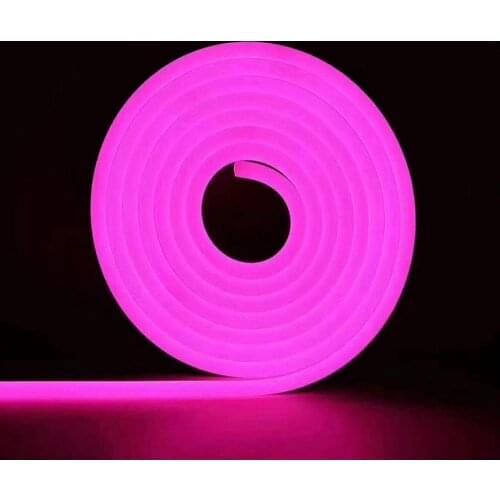 Neon Soft Led Strip Lights 6x12 8x16 Colorful with Silica Gel Festival Decoration Atmosphere Led Strip Lamp 120leds/m DC12v/24v