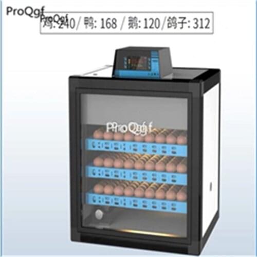 Incubator chicken egg 240pcs Ngryise
