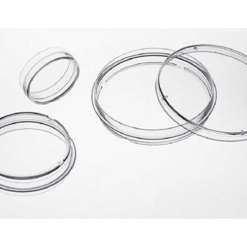 Custom laboratory petri dish mold petri dish cover transparent PP dish injection mold