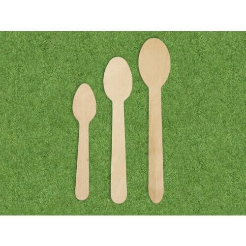 Silver Birch Disposable Tableware