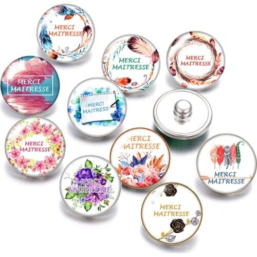 DB0440 New merci maitresse French 18mm snap buttons 10pcs mixed round photo glass cabochon style for snap button jewelry
