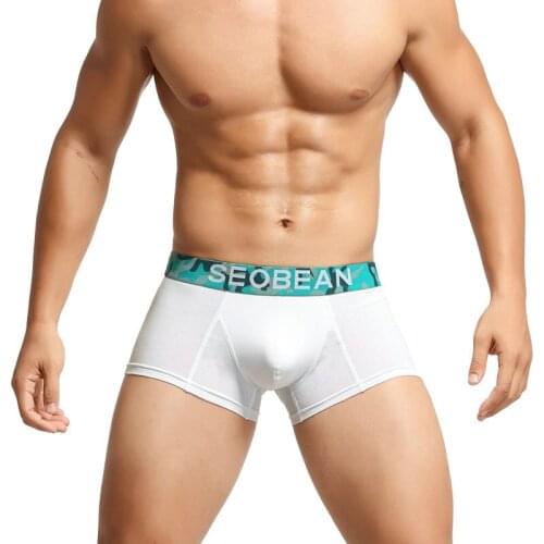 Mens Boxer Shorts Sexy Bugle Pouch Underwear Elastic Breathable Panties Calzoncillo Hombre Trunks Slip Homme Boxershorts 2XL