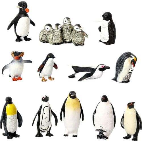 Realistic Penguin Collection Figurines Polar Arctic Animal Model Different Varieties of Penguin Christmas Birthday Gift for Kid
