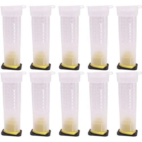 10PCS Beekeeping Tools Economical Non-Toxic Reusable Plastic Queen Bee Protective Cover Cages Shield Beekeeper Accessories