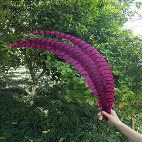 20pcs 36-40inche/90-100cm Natural Lady Amherst Pheasant Feather Rose pheasant feathers for carnival party costumes decoration