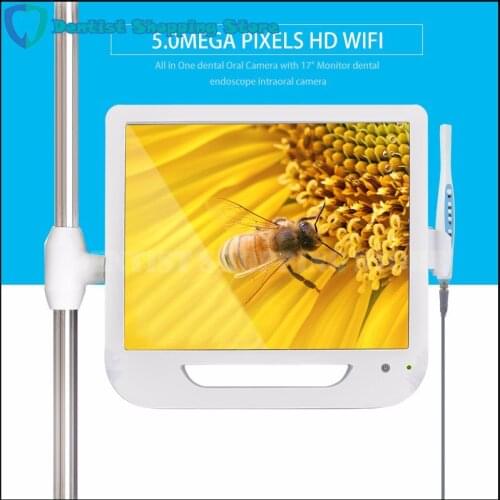 New Arrival 17 Inch Monitor USB / Wifi Intraoral Endoscope Endoscope Camera 6 Led Camera Dental Camera Dental Light Dentist