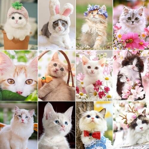 5D Diamond Painting Cat DIY Full Circle Diamond Inlaid Animal Cross Stitch Mosaic Embroidery Kit Home Decoration Gift