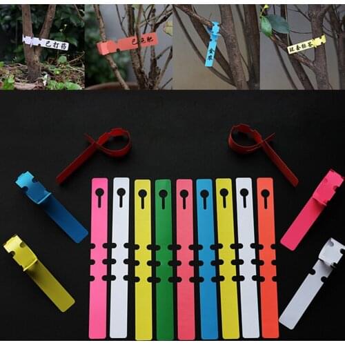 200PCS Plastic Plant Tree Hanging Markers Tags Nursery Seed Gardening Labels New