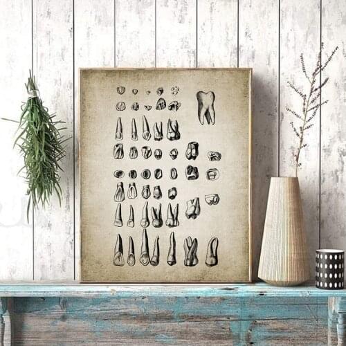 Vintage Style Human Teeth Poster Dental Anatomy Educational Canvas Painting for Dental Clinic Wall Art Decor