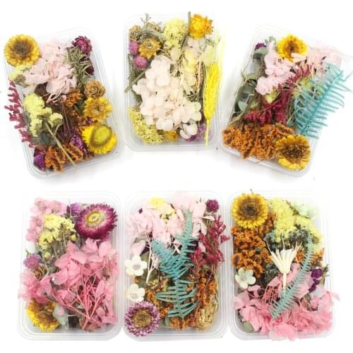 DIY Real Dried Flower Plants Flower Rattan For Aromatherapy Candle Epoxy Resin Pendant Necklace Jewelry Making Craft Accessories