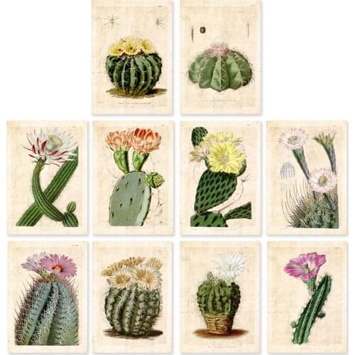 10 in 1 Vintage Curtis Botanical art prints on cactus and floral art unframed