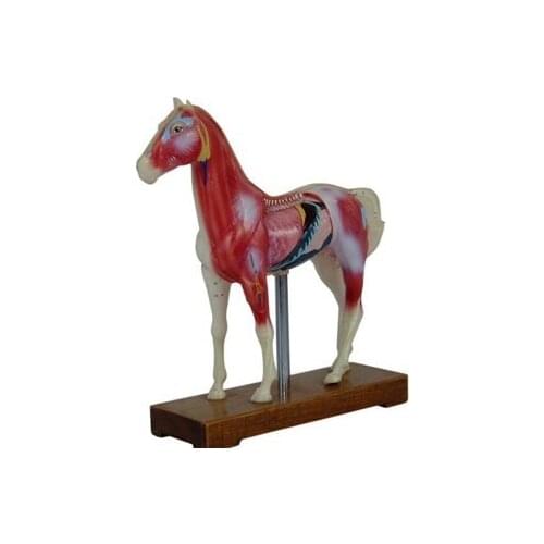 Детские ролевые игры Heymodel China At AliExpress