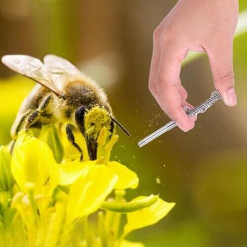 2pcs/lot Stainless Steel Bee Pollen Grip Sucking Collector Tool Bee Pollen Collector Bee Beehive Equipment Beekeeping Tool