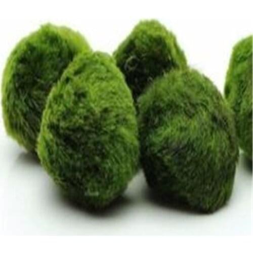 Hot Sale Fish Tank Water Plant Landscaping Living Green Algae Aquatic Ball Aquarium Ornamental Green Grass