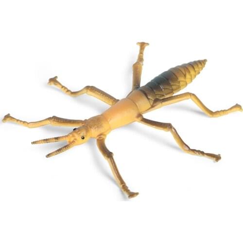 Stick Insects Model Action Figure Simulation Insect Animal Action Figures Collection PVC Toy Kids Gift