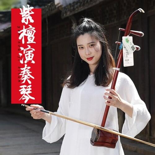 Rosewood Erhu Hu Qin Professional Performance Erhu Chinese Instrument Instrumentos de cuerda with Full Erhu Accessaries