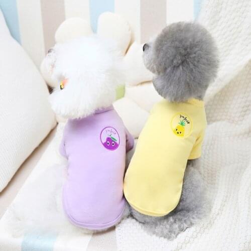 Winter Warm Pet Dog Appareling Soft Comfortable Hoodie Cute Pure Chihuahua Yorkshire Teddy Costume Pet Daily Dressing Up