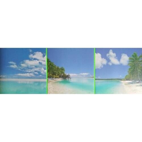 8 packs/box SEA DREAM PVC Sticker DIY Wall Kitchen Kids Living Room Door Plate Cup Vase Tile Accessory Functional Toy Hobby