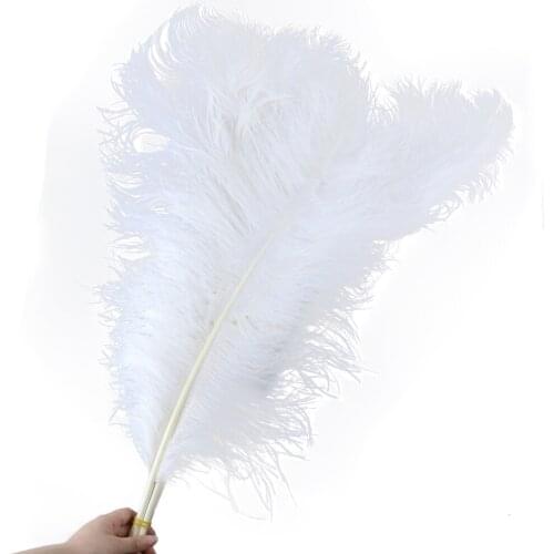 10pcs White Natural Ostrich Feathers Pole Fluffy Decorative Feathers 5-75CM Long for Diy Craft Home Party Christmas Decoration