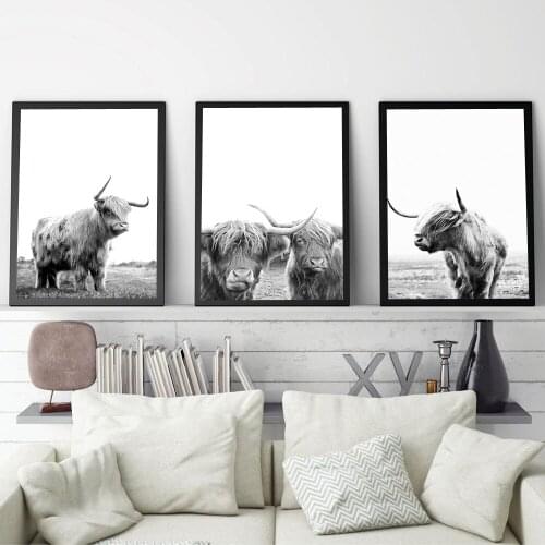 Freedom Highland Cattle Posters and Prints Black White Wall Art Canvas Painting Cow Wall Pictures For Living Room Art Decoration