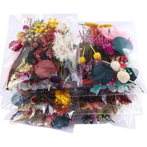 Natural Dry Embossing Resin Dried Flower Suitable for Candles Epoxy Resin Soap Making Scrapbooking Diy Art Crafts