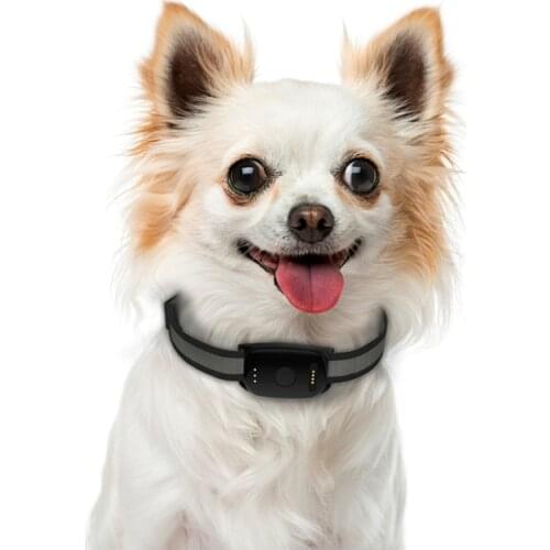 Waterproof Mini Pet Tracker Eview Best Buy Product Smart Over Speed Alarm GPS Dog Tracking Collar IP68