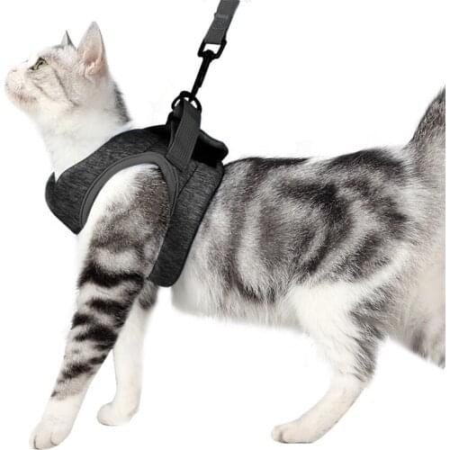 1pcs Comfortable Cat Harness Vest Light Weight Outdoor Walking Cat Accessories Mascotas Leash Harness for Gatos