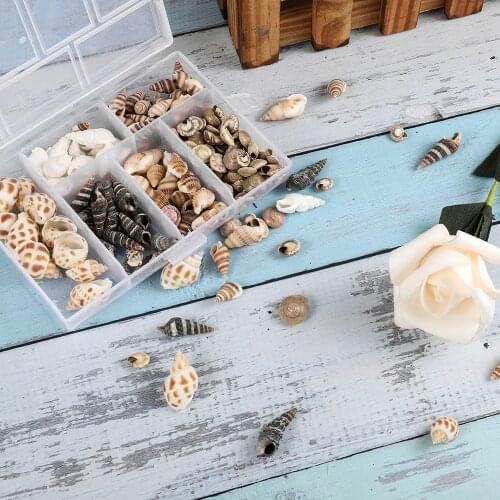 About 100Pcs/Box Mix Natural Sea Shells Mini Conch Corn Screw Material Natural Craft for Jewelry Making Accessories Findings