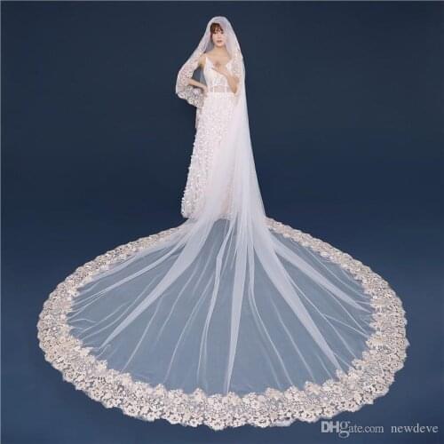 2021 Latest Wedding Veils Cathedral Length Full Lace Edge Appliqued Tulle Bridal Veils One Layer with Combs Customized