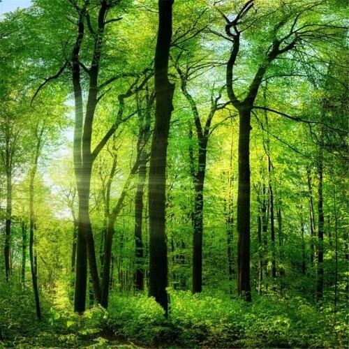 Landscape Natural DIY 11CT Cross Stitch Embroidery Kits Needlework Craft Set Cotton Thread Printed Canvas Home Room