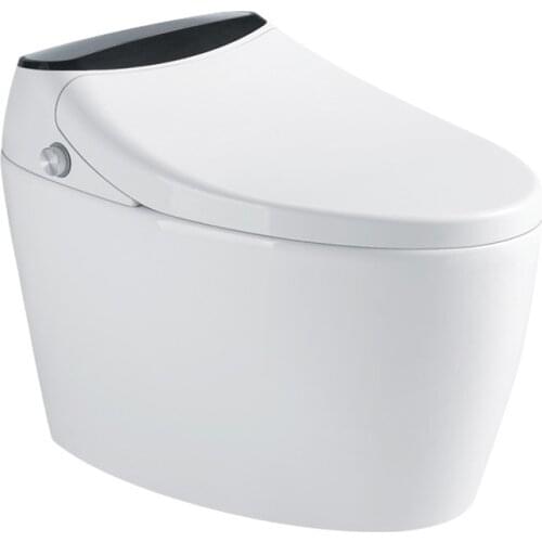 KASG KA917DH SMRAT TOILET