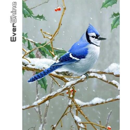 Evershine Diamond Painting Bird 5D DIY Full Square Round Diamond Embroidery Animal Mosaic Full Layout Sale Handicraft Gift