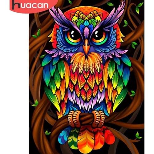 HUACAN Painting By Numbers Owl Wall Art Hand Painted On Canvas Acrylic Picture By Numbers Animal For Living Room