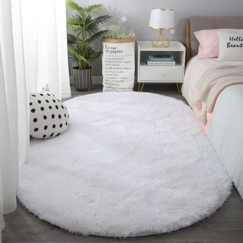 Thick Oval Carpet Bedroom Bedside Rug Living Room Carpet Modern Plush Shaggy Area Rug Home Decor Carpet Fluffy Carpet for Room
