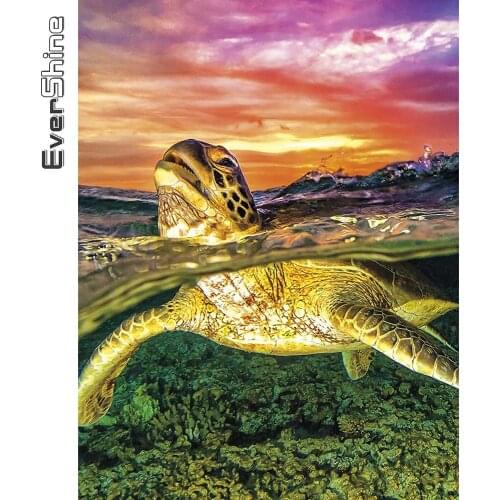 Evershine Full Square Round Diamond Embroidery Animals DIY Hobby Diamond Painting Tortoise Mosaic Art Wall Decoration