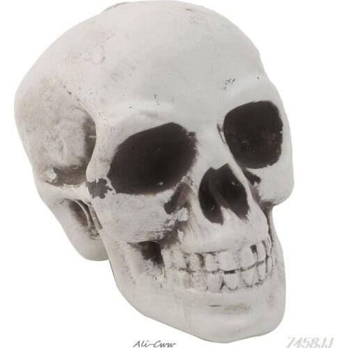 Skull Decor Prop Skeleton Head Plastic Halloween Day Coffee Bars Ornament DropShip