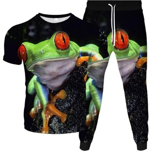 Kawaii Animal Frog Printing T-Shirt Jogger Pants 2Pcs Suits Men Women Fashion Tracksuit Male Sweatpants Tops Set Plus Size S-6XL