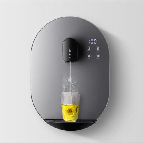 220V Pipeline Machine Wall-mounted Instant Hot Water Dispenser Small Gutsless Fast Hot Household Water Dispenser