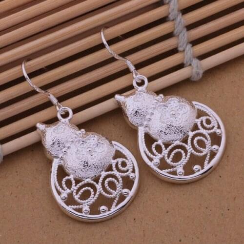 Wholesale High quality 925 silver Fashion jewelry errrings WE-500