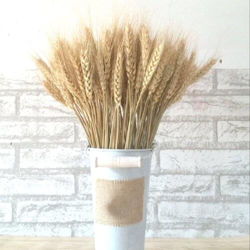 100pcs natural dried flower bouquets natural raw color dried ear of wheat bouquets wheat ear Bunches