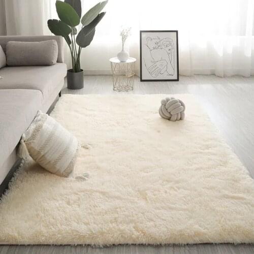 Girls Bedroom Carpet Living Room Sofa Mats Plush Tatami Pads Soft Dormitory Floor Rug Thicken Entrance Doormats Bedside Foot Mat