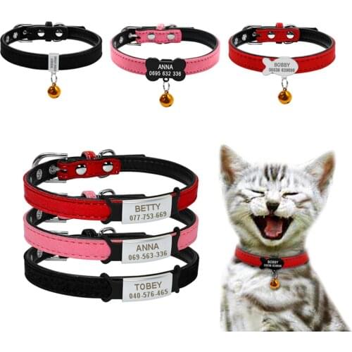 Beirui Products For Cats