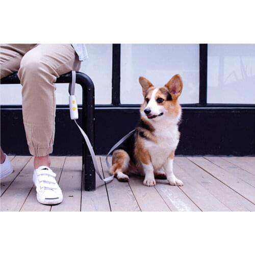 Pet Products New Dog Leash Small and Medium Dog Harness Elastic Rope Dog Chain Dog Collars Dog Harness Dog Supplies