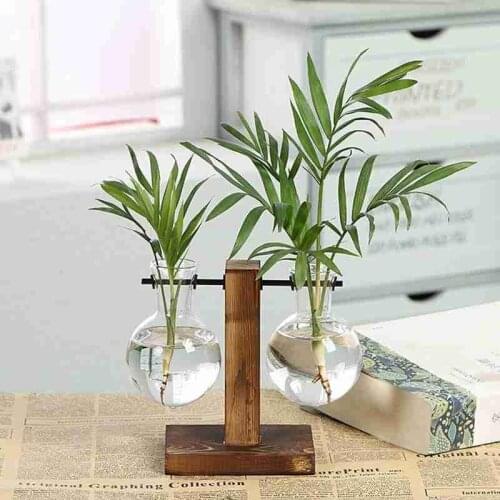 Simple and Creative Glass Bottle Vase Wooden Stand Hydroponic Vase Green Dill Plant Transparent Vase Desktop Decoration