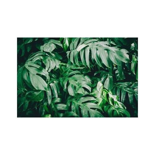 ARMYQZ5D DIY round square diamond painting monstera plant leaf diamond mosaic complete display crystal embroidery scenic area rh