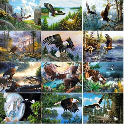 EverShine DIY Diamond Embroidery Animals Picture Of Rhinestone Diamond Painting Eagle Mosaic Lake Cross Stitch Home Decor