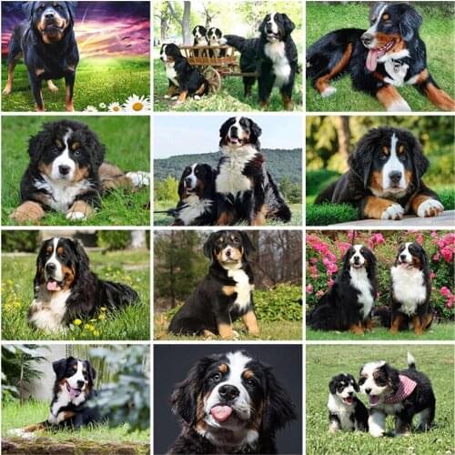 DIY 5D Diamond Painting Animal Full Square/Round Diamond Embroidery Picture Rhinestones Mosaic Dog Cross Stitch Home Decor Gift